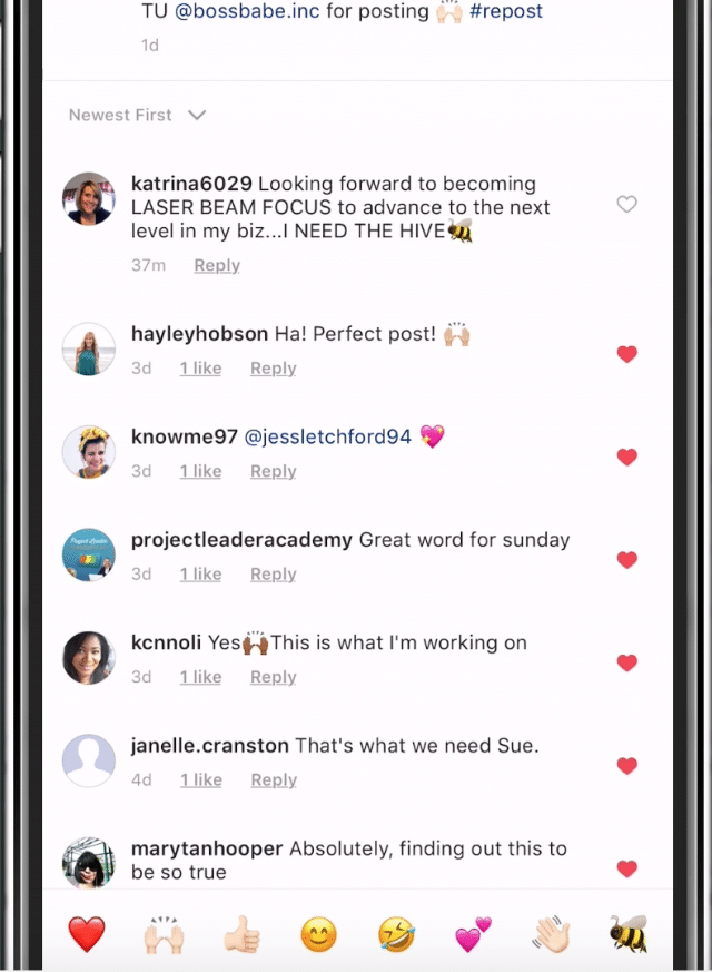 Sue B Zimmerman's Instagram follower activity.