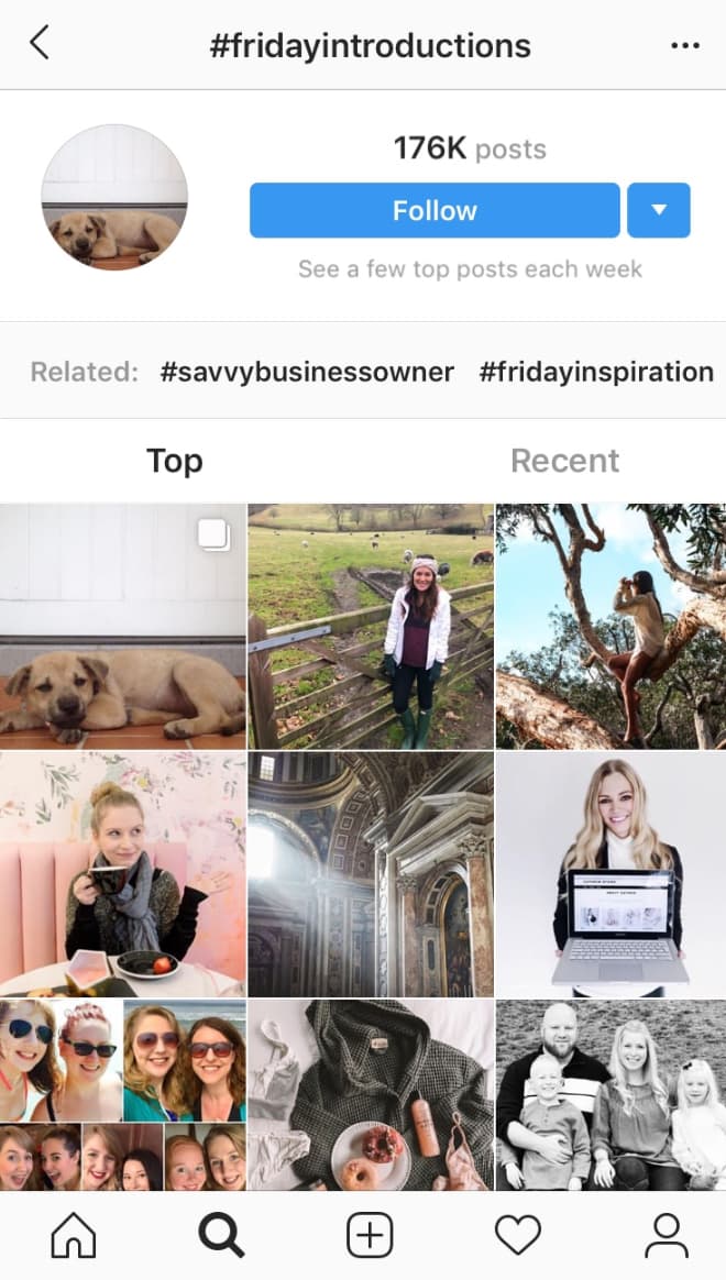 The Instagram #FridayIntroducations explore tab.