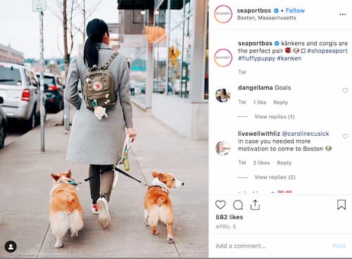 A woman with her back turned is exploring Boston Seaport two corgis walking beside her. 